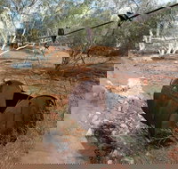 Kingsford Smith Mail Run - Goulburn Accommodation