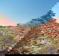 Lark Quarry Conservation Park - Goulburn Accommodation