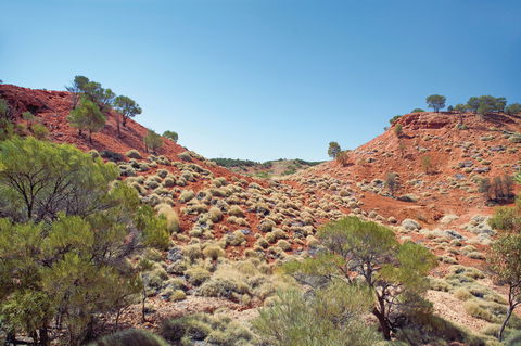 Lark Quarry Conservation Park - Goulburn Accommodation 0