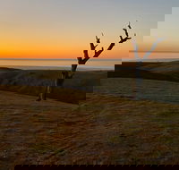 Lessismore Farm Afternoon Farmer - Goulburn Accommodation