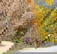 Old Great North Road - World Heritage Walk - Goulburn Accommodation