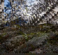 Pheasants Peak Walking Track - Goulburn Accommodation