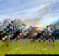 Port Macquarie Horse Riding Centre - Goulburn Accommodation