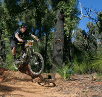 Scorpion Trail Kalamunda Mountain Bike Trails - Goulburn Accommodation