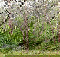 Scutts Hut Trail - Goulburn Accommodation