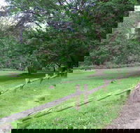 St Albans Reserve - Goulburn Accommodation