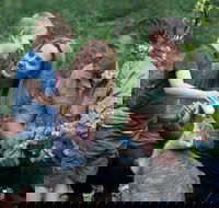 Tamworth Marsupial Park and Adventure Playground - Goulburn Accommodation