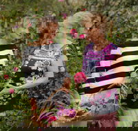 White Cottage - Goulburn Accommodation