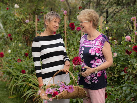 White Cottage - Goulburn Accommodation 0