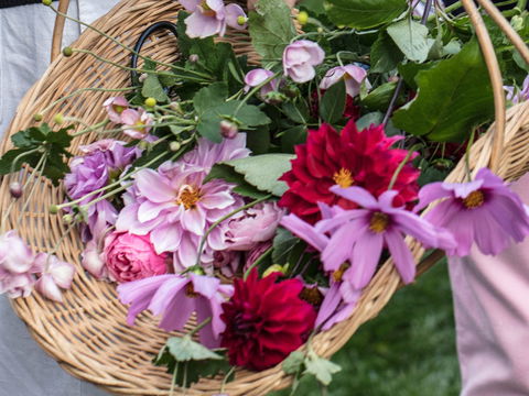 White Cottage - Goulburn Accommodation 2