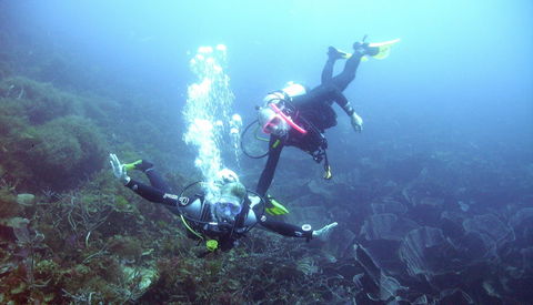 Abrolhos Islands - Goulburn Accommodation 2