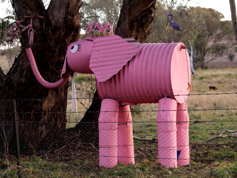 Animals On Bikes - Goulburn Accommodation 0