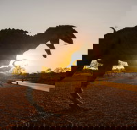 Australian Dinosaur Trail - Goulburn Accommodation