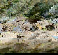 Boonoo Boonoo National Park - Goulburn Accommodation