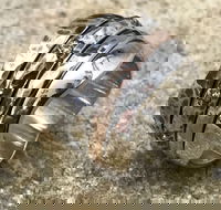 Eclectopia Gifts and Specialty Homewares - Goulburn Accommodation