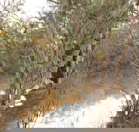 Eulo Town Hole - Goulburn Accommodation