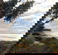 Fish Cannery Walking Trail - Goulburn Accommodation