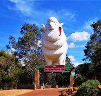 Giant Ram Park - Goulburn Accommodation