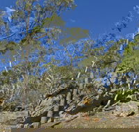 Green track - Goulburn Accommodation