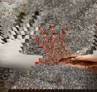 Hands of Fame Park - Goulburn Accommodation