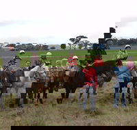 High Country Trail Rides - Goulburn Accommodation