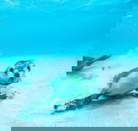 Jurien Bay - Goulburn Accommodation