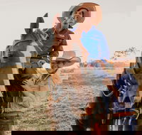 Katherine Outback Experience - Horse Riding Experience - Goulburn Accommodation