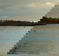 Lake Inverell Reserve - Goulburn Accommodation
