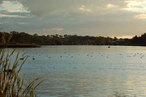 Lake Inverell Reserve - Goulburn Accommodation 0