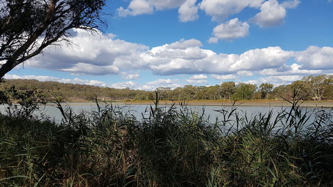 Lake Inverell Reserve - Goulburn Accommodation 1