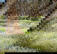 Leaghur State Park - Goulburn Accommodation