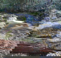 Liffey Falls Reserve - Goulburn Accommodation