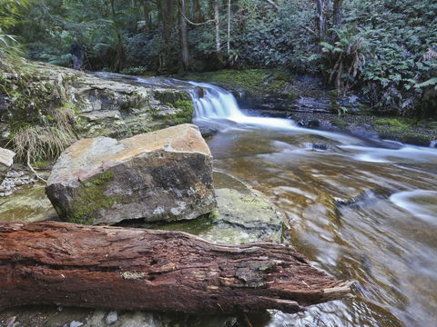 Liffey Falls Reserve - Goulburn Accommodation 0