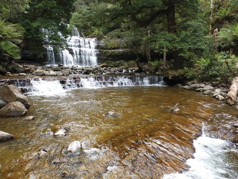Liffey Falls Reserve - Goulburn Accommodation 1