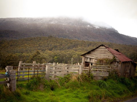 Liffey Falls Reserve - Goulburn Accommodation 2