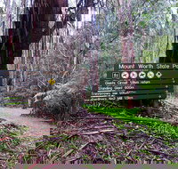 Mount Worth State Park - Goulburn Accommodation