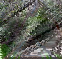 Mulwaree River Walkway - Goulburn Accommodation