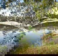 Murray Valley National Park - Goulburn Accommodation