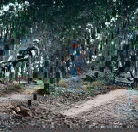 Nerang Mountain Bike Trails - Goulburn Accommodation