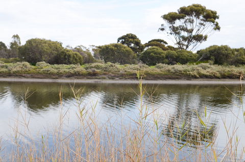 Onkaparinga River Recreation Park - Goulburn Accommodation 0