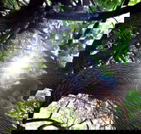 Scarborough Beach Park - Goulburn Accommodation