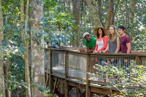 Sea Acres Rainforest Centre - Goulburn Accommodation 1
