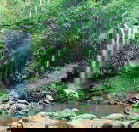 Tamborine National Park - Goulburn Accommodation