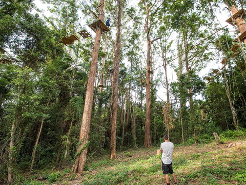 TreeTop Challenge - Sunshine Coast - Goulburn Accommodation 1