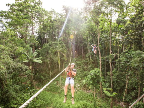 TreeTop Challenge - Sunshine Coast - Goulburn Accommodation 2