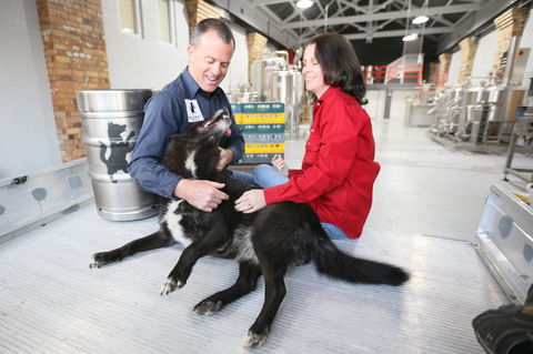 Visit Bucket Brewery - Goulburn Accommodation 2