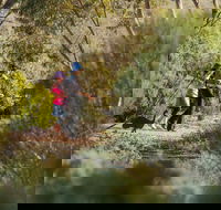 Australian Arid Lands Botanic Garden - Goulburn Accommodation