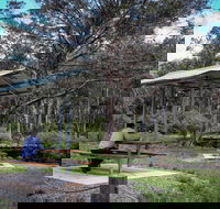 Barrington Tops State Forest - Goulburn Accommodation