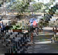 Bidgee Riverside Trail  - Hay Nature Walk - Goulburn Accommodation