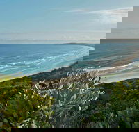 Cape Byron State Conservation Area - Goulburn Accommodation